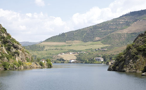 Valle del Fiume Douro in Portogallo